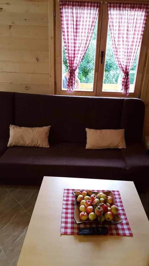 Vacation Home Sajra クレン・ヴァクフ エクステリア 写真