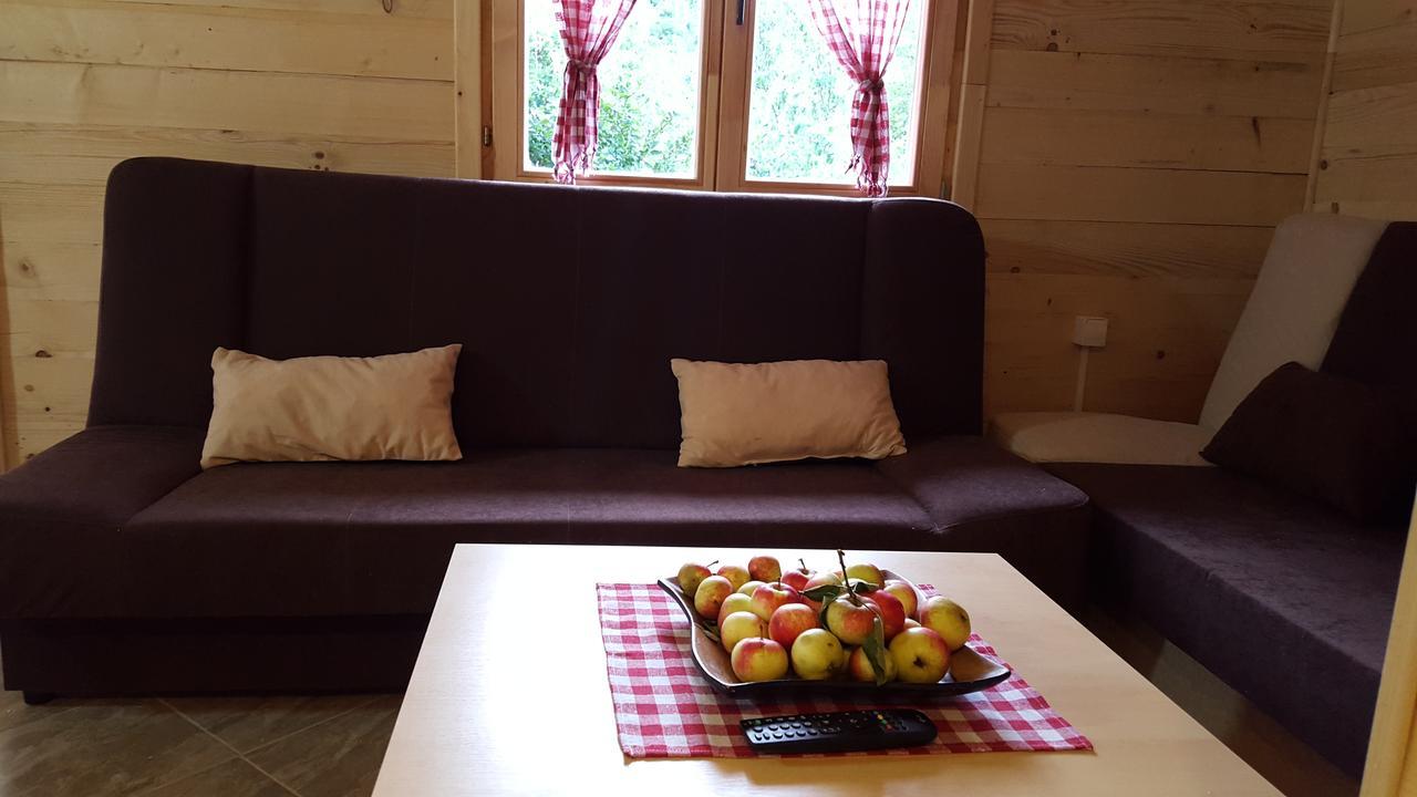 Vacation Home Sajra クレン・ヴァクフ エクステリア 写真